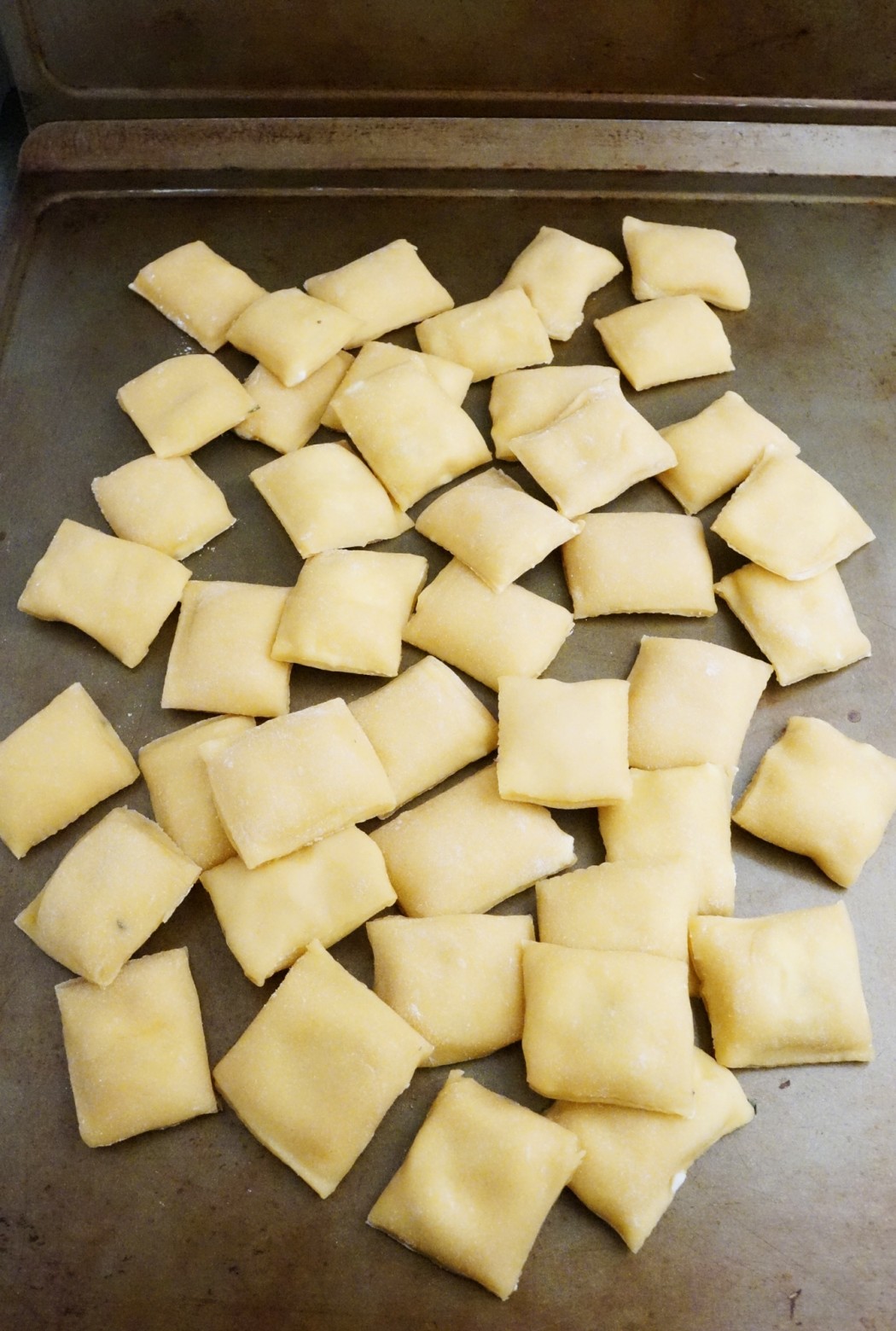 Handmade Shiitake Ravioli with Mascarpone Thyme Filling – One Broads ...